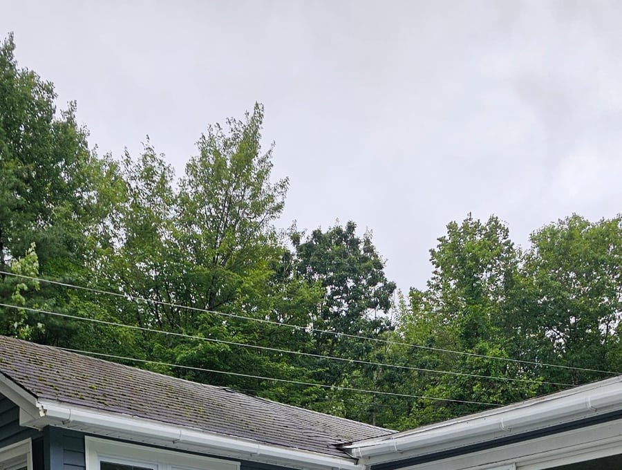 Fresh exterior